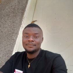 Peter Adogwu Ocheibi avatar