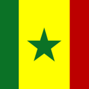 Group logo of La Communauté SWIFIN du Sénégal